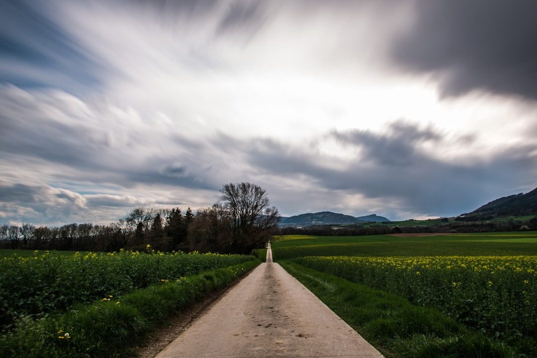 Path to Financial Freedom
