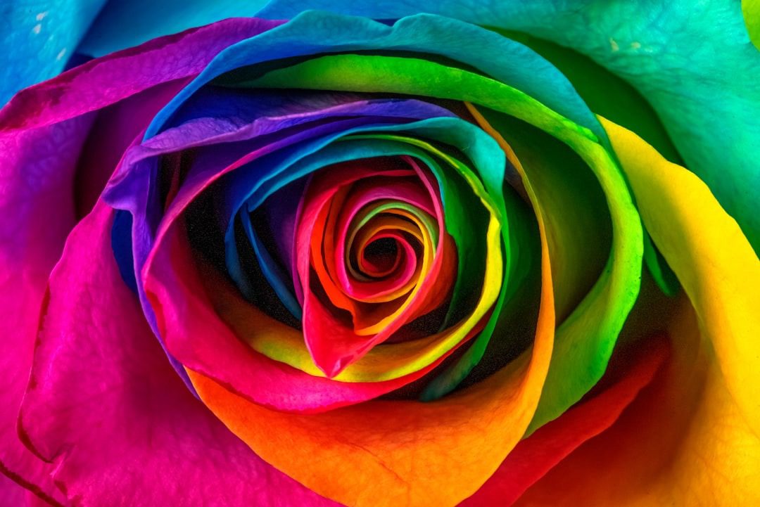 Color Psychology